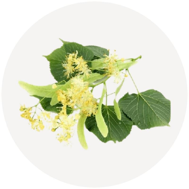 Linden blossom water